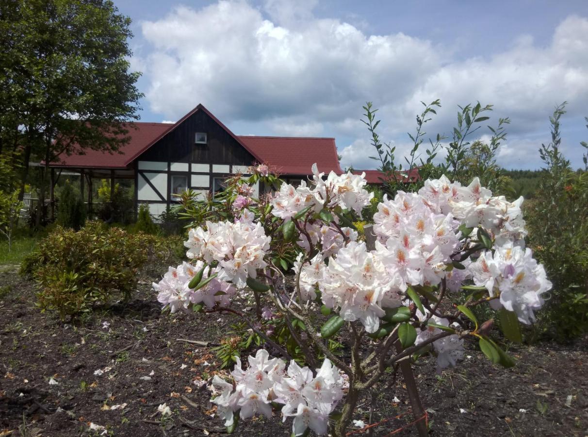 Dom Rybaka Villa Miroslawiec ภายนอก รูปภาพ